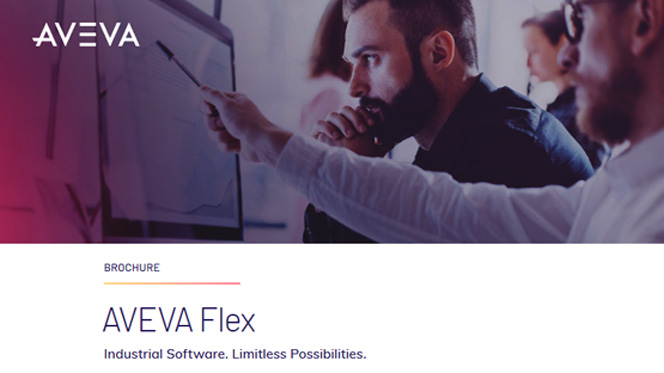 AVEVA™ Flex Brochure